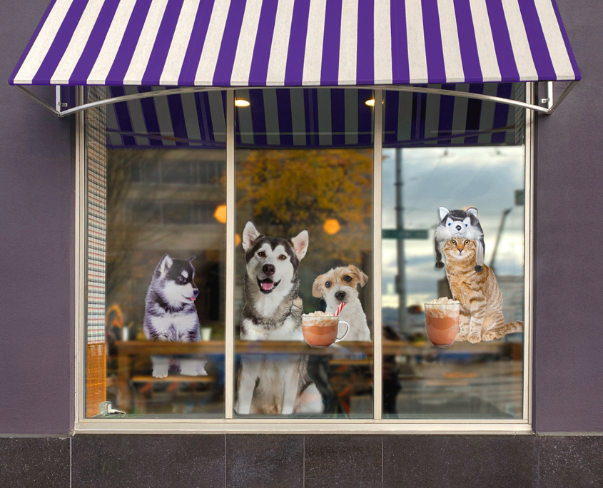 Dogs and a cat drinking lattes and looking out of a cafe window.